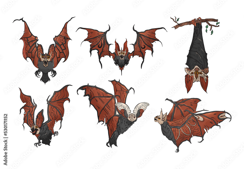 Vampire Bat Illustrations Stock Template | Adobe Stock