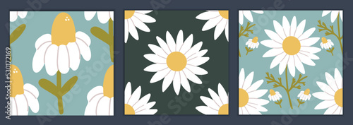 The set of seamless patterns chamomile and matricaria. For textile, wrapping, fashion