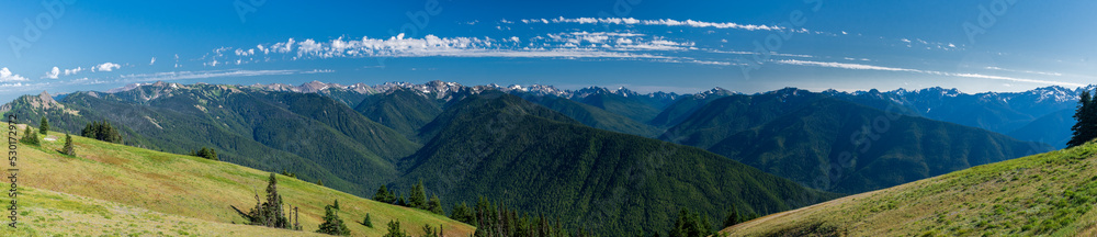 Fototapeta premium Olympic National Park, Hurricane Ridge