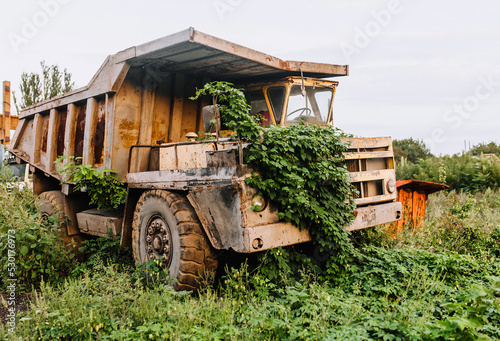 Quadro em tela Old, broken, dirty, rusty abandoned car big truck, overgrown with green grass, ivy stands outdoors