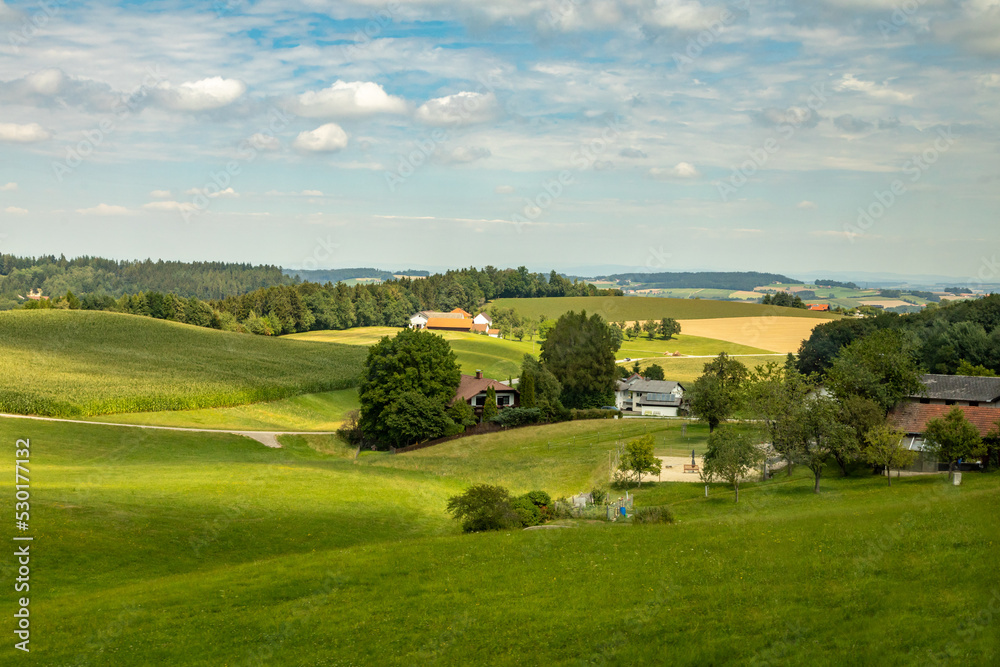 Verdant Valley in the Austrian Agricultural District