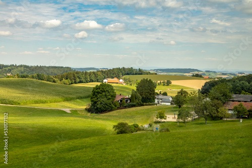 Verdant Valley in the Austrian Agricultural District