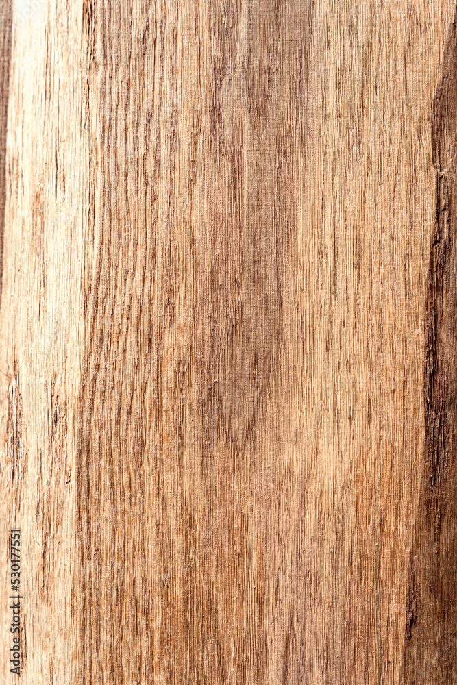 Naklejka premium Light wooden plank texture bg