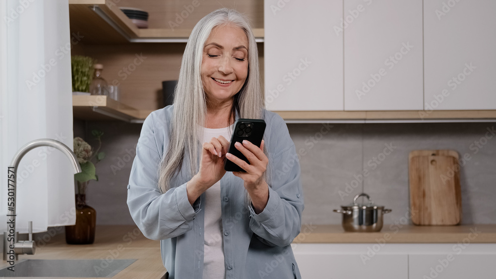 Excited happy elderly woman amazed female grey-haired granny pensioner housewife winner stand at home kitchen read good news on mobile phone rejoice online bet victory win discounts in internet store Excited happy elderly woman amazed female grey-haired granny pensioner housewife winner stand at home kitchen read good news on mobile phone rejoice online bet victory win discounts in internet store