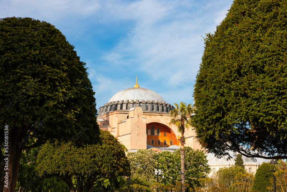 Dome of Hagia Sophia and trees. Travel to Istanbul background photo