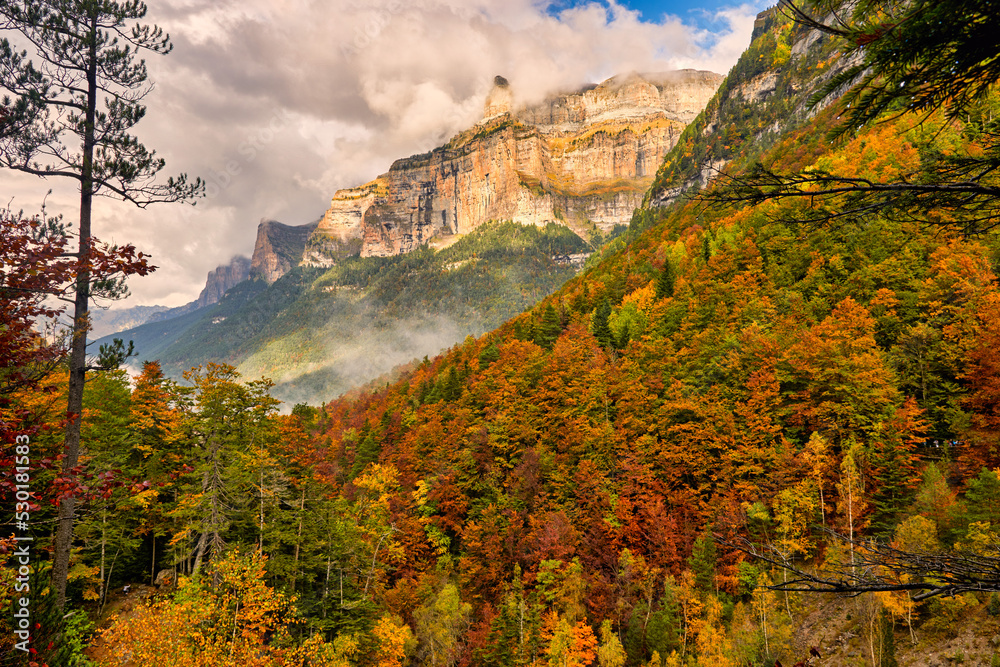 Autumnal valley with colorful trees and mountains