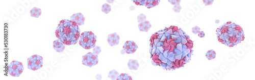 Polio virus particles with their viral capsid proteins. Poliomyelitis is a disease caused by the Poliovirus. CGI conceptual illustration on white background. photo