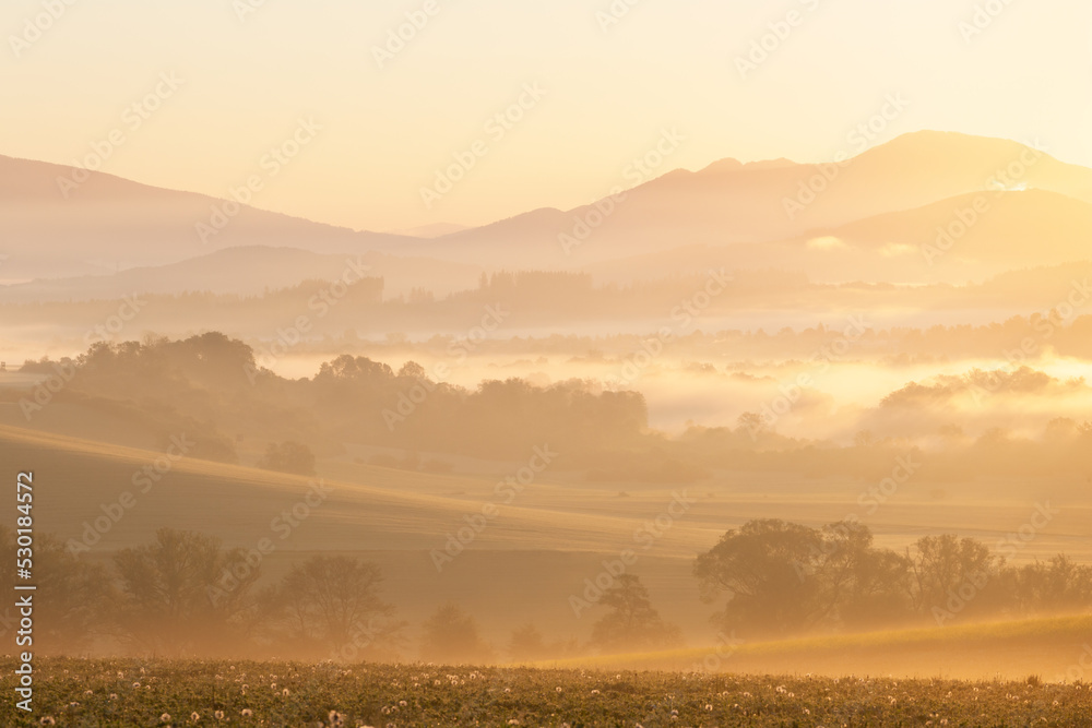 Morning mist in the fields at Budis, Slovakia.