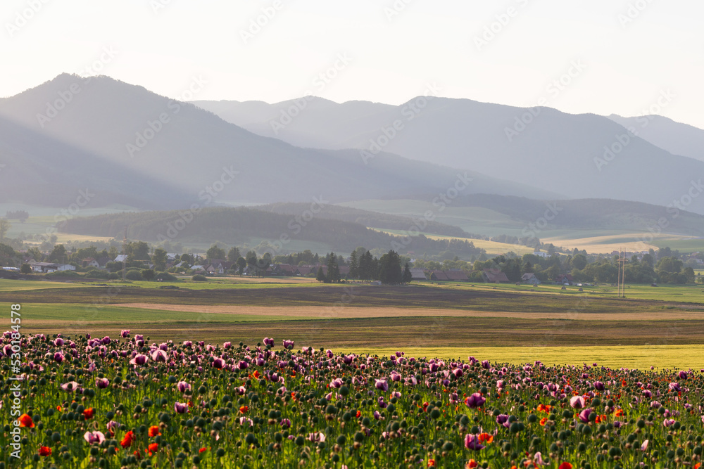 Summer rural landscape of Turiec region, Slovakia. Summer rural landscape of Turiec region, Slovakia.