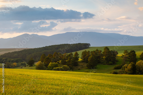Rural landscape of Turiec region at Folkusova village, Slovakia.