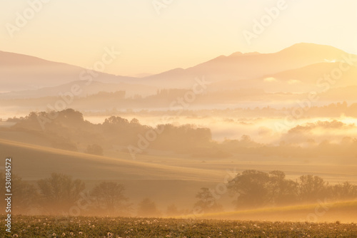 Morning mist in the fields at Budis  Slovakia.