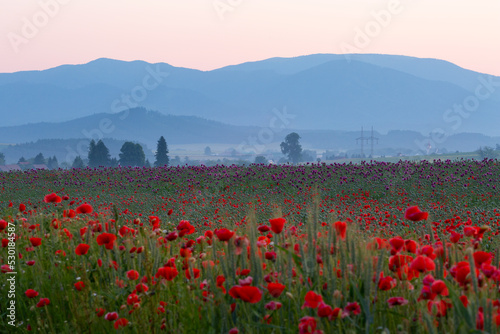 Summer rural landscape of Turiec region  Slovakia.