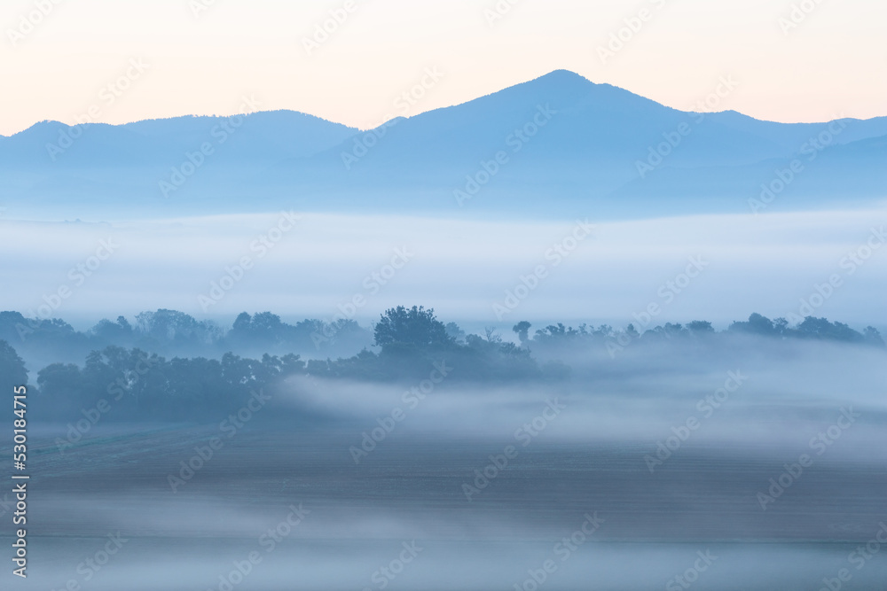 Obraz premium Foggy morning in floodplain of river Turiec, Slovakia.