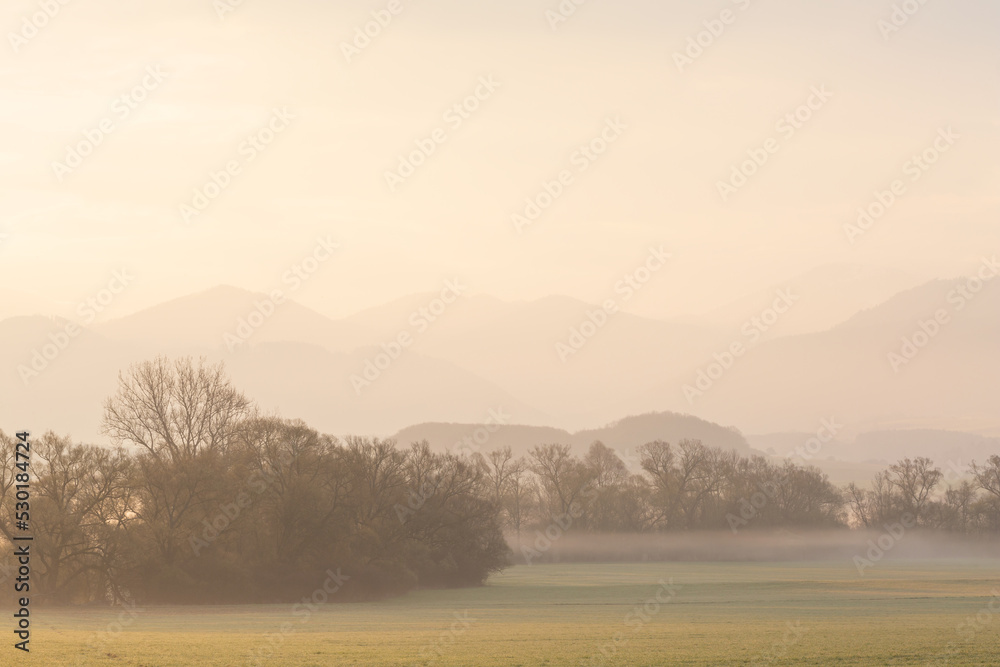 Fototapeta premium Foggy morning in floodplain of river Turiec, Slovakia.