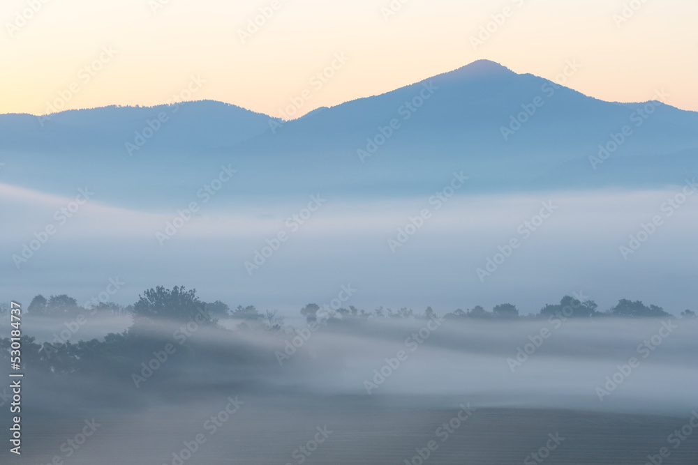 Foggy morning in floodplain of river Turiec, Slovakia. Foggy morning in floodplain of river Turiec, Slovakia.