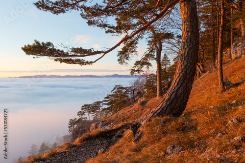 National park of Velka Fatra in northern Slovakia. photo