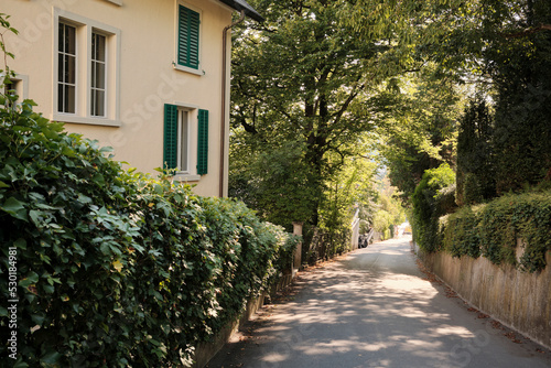 Sunlit asphalt path near house