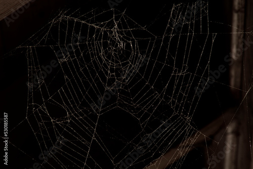 Triangle horror cobweb or spider web isolated on black background,horizontal photo