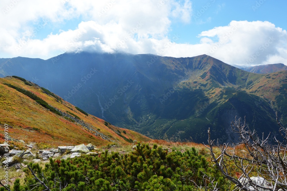 Fototapeta premium tatras mountains, ornak