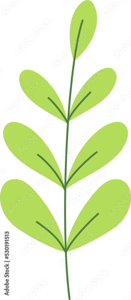 wheat tropical leaf illustration. green house plant design element