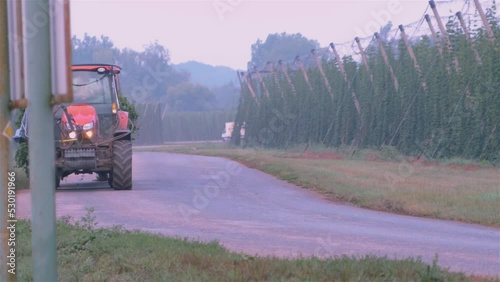 Tractor with hops in fild photo