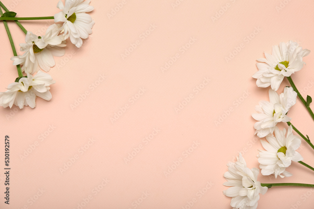 Fototapeta premium Frame made of beautiful daisy flowers on pink background