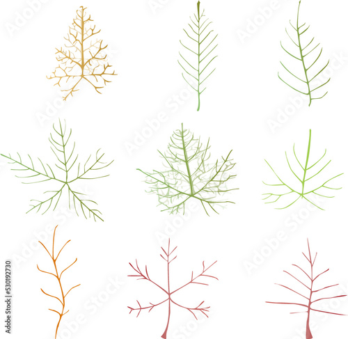 Leaf vector doodle botanical illustration set. Autumn leaves.