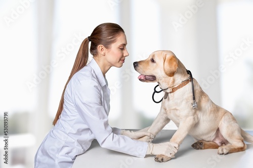 Young happy veterinarian with dog in the clinic
