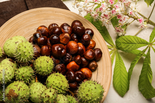Plate with fresh chestnuts on light background, closeup