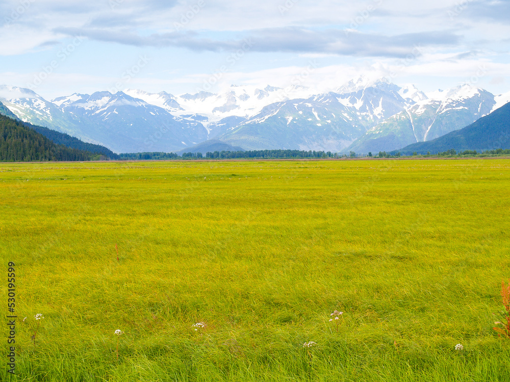 Expansive wetland landscape of water and green vegetation stretching in distance bounded by mountains converging toward snow on mountains