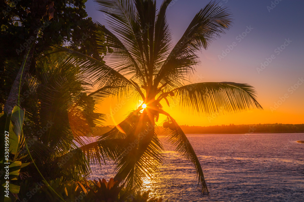 Idyllic Porto Seguro Beach at sunset with palm trees in Trancoso, BAHIA