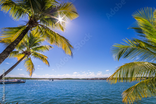 Idyllic Porto Seguro Beach at sunny day with palm trees in BAHIA  Brazil