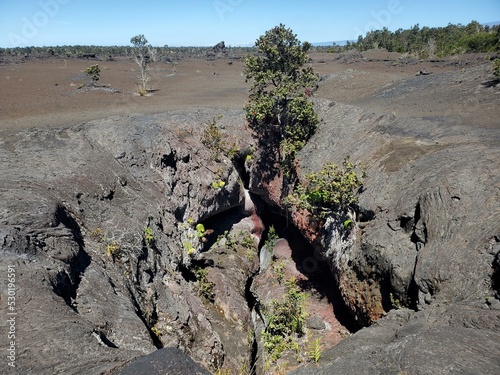 Plant Plant community Sky Bedrock Vegetation Formation
