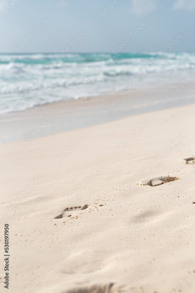 footprints in the sand at the ocean footprints in the sand at the ocean