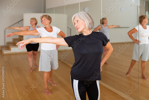 Mature active women who are engaged in the dance section at a group class, perform ballet exercises in the studio