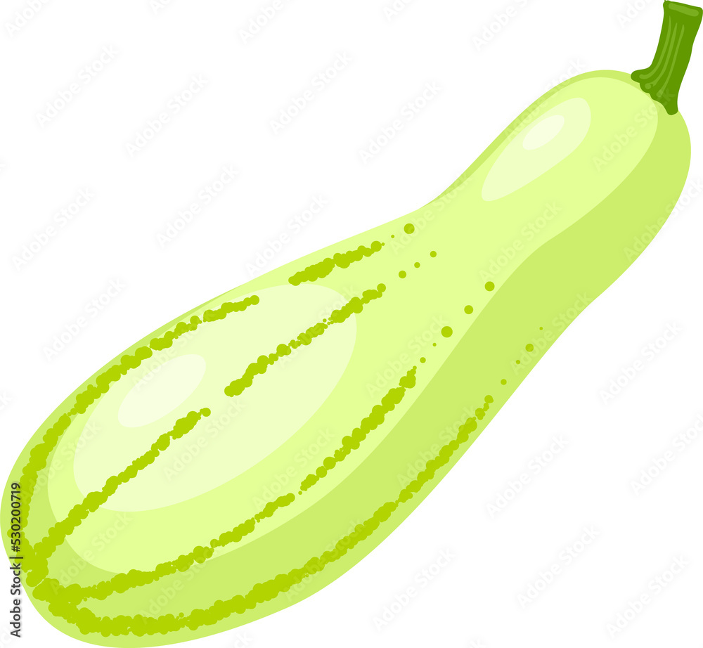 Whole zucchini courgette isolated cartoon veggie Whole zucchini courgette isolated cartoon veggie