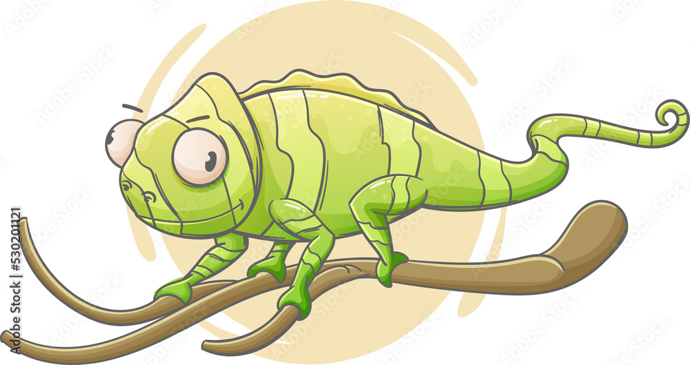 Fototapeta premium Green Chameleon isolated lizard able change color