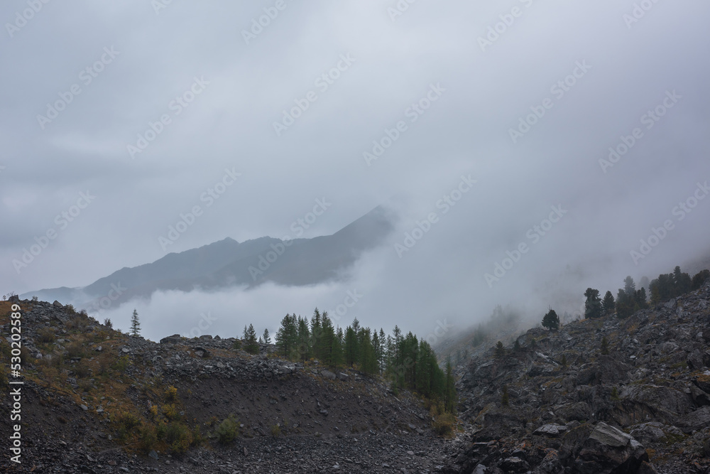 Dark atmospheric landscape with stone hill with forest and silhouette of mountain range in dense fog in rainy weather. Coniferous trees on rocky hills and black rocks in thick low clouds during rain.