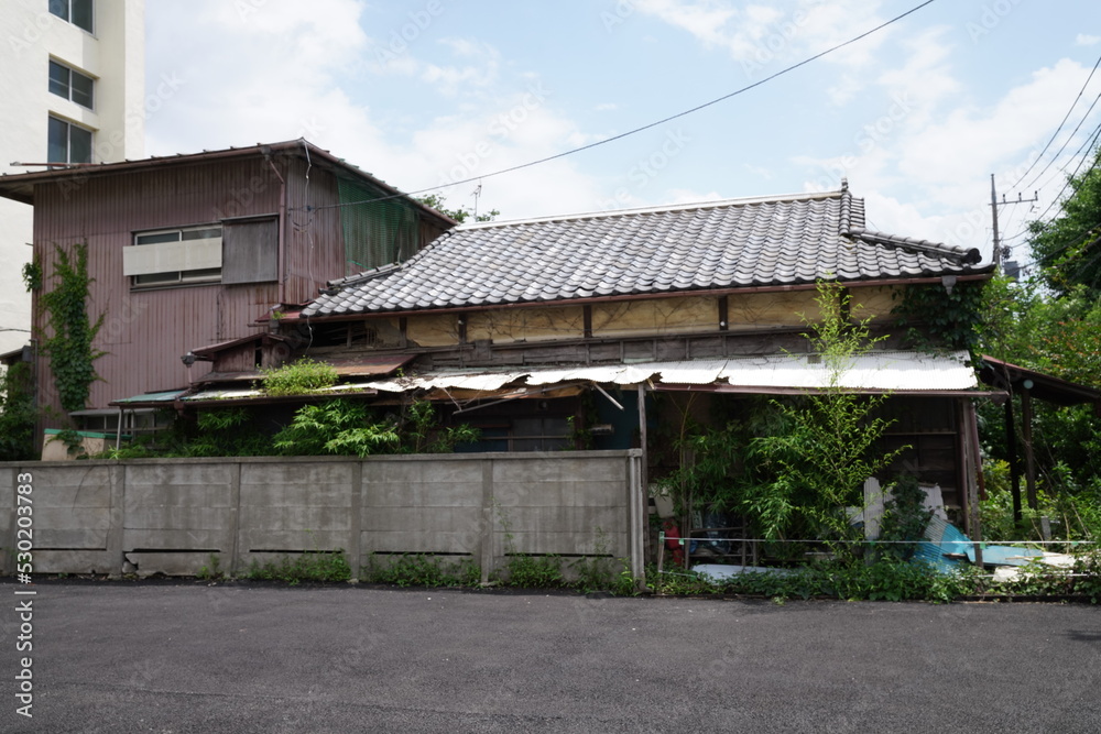 廃墟となった家/無人の家/蔦の絡まった家/二階建て/一軒家/老朽化した家/鬱蒼とした家