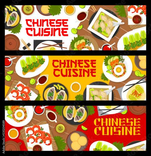Chinese cuisine meals banners for Asian restaurant, vector traditonal food dishes. Chinese dumplings wonton soup with fish and shrimps seafood grilled on skewers and bock choy with oyster sauce