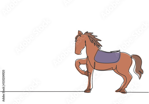 Continuous one line drawing a circus horse stands on the show arena, lifting one of its legs while preparing to perform an attraction. Trained horse. One line draw design vector graphic illustration.