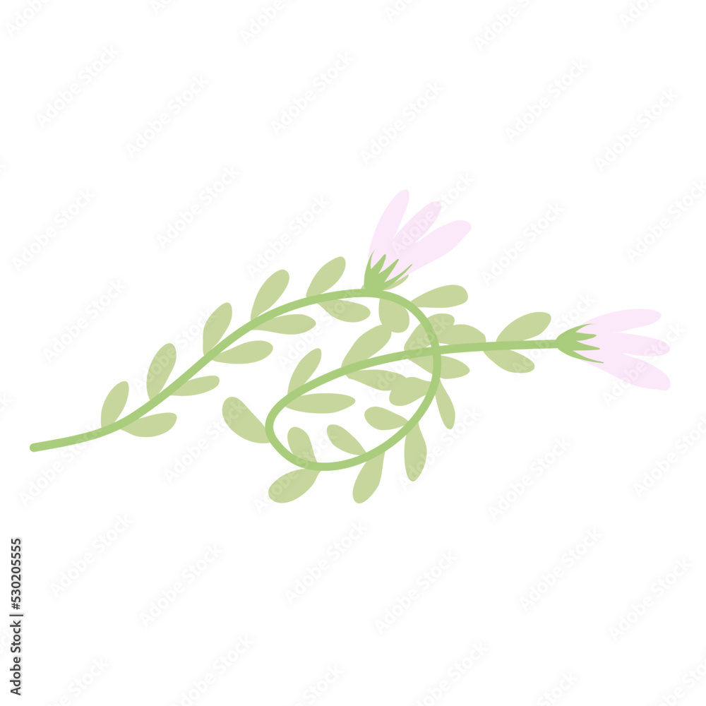 Arsthetic Botanical plant leaf with flower Arsthetic Botanical plant leaf with flower