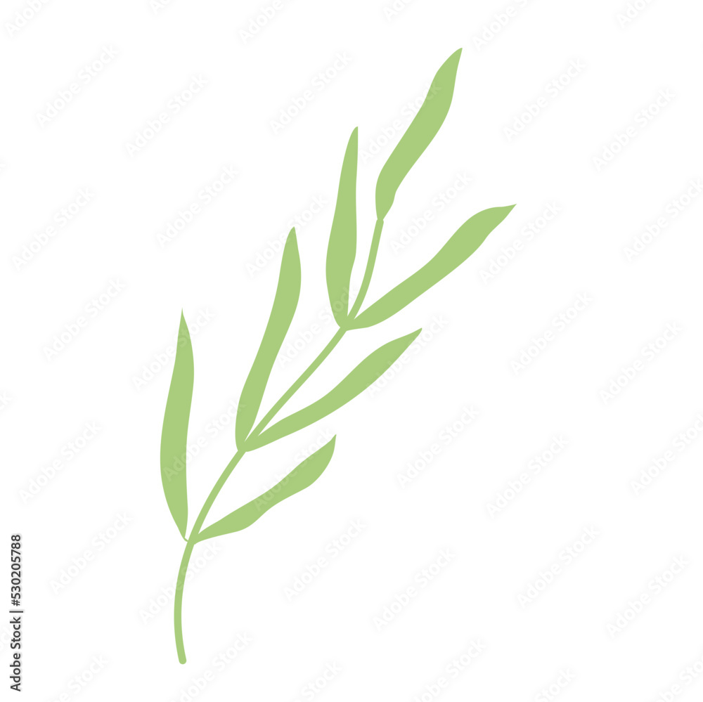 Arsthetic Botanical plant leaf with flower