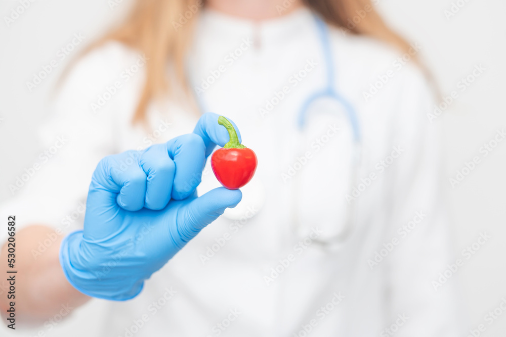 doctor holds in his hands a red chili pepper - habanero. concept - benefits of red pepper, capsaicin. doctor holds in his hands a red chili pepper - habanero. concept - benefits of red pepper, capsaicin.