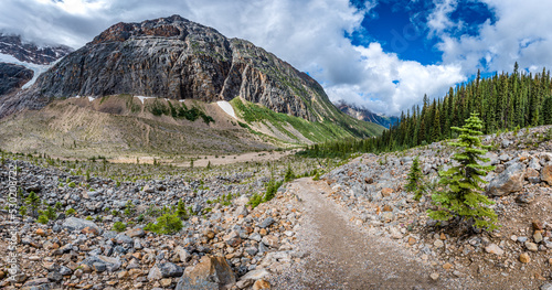 The Glacier Trail at Mt. Edith Cavell in Jasper National Park, Alberta photo