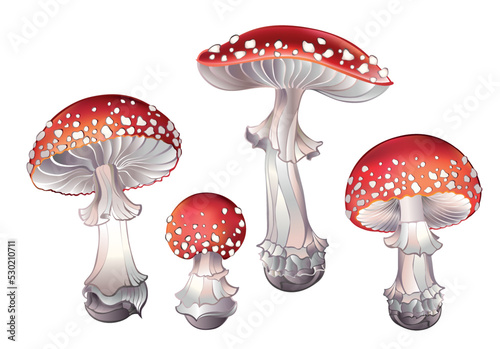 Set of red fly agaric