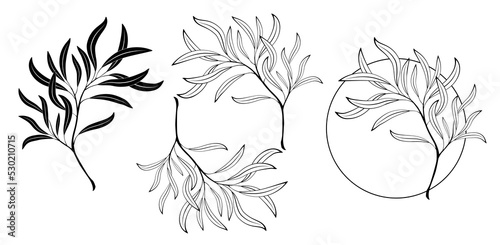 Willow branch monogram