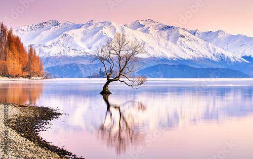 Fototapeta Naklejka Na Ścianę i Meble -  Lake Wanaka sunset