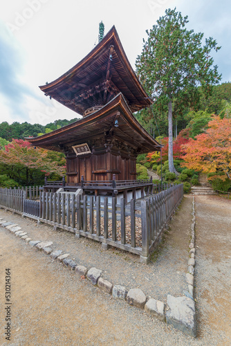 wooden pagoda in Jojakko-ji Temple  Kyoto  Japan in autumn season