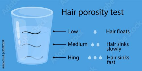 hair porosity test. Hair floats in a glass of water. cartoon style illustration